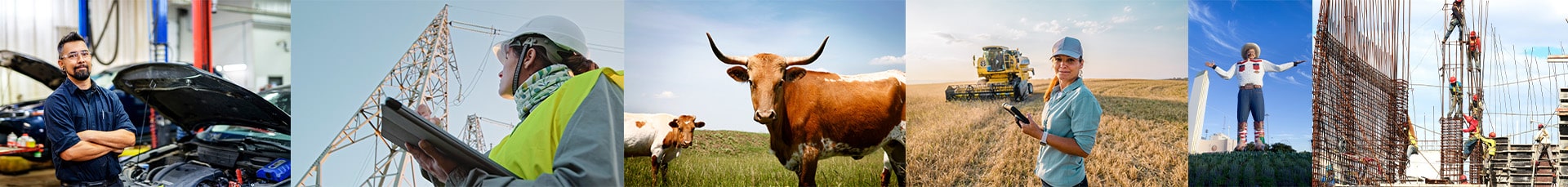 Photo Collage of Business in Texas